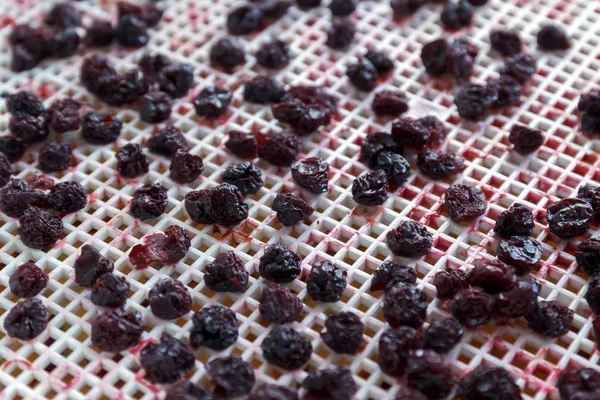 Kirschen Getrocknet Dehydratationstrockner Eine Möglichkeit Vitamine Erhalten Vegetarisches Essen Gesund — Stockfoto