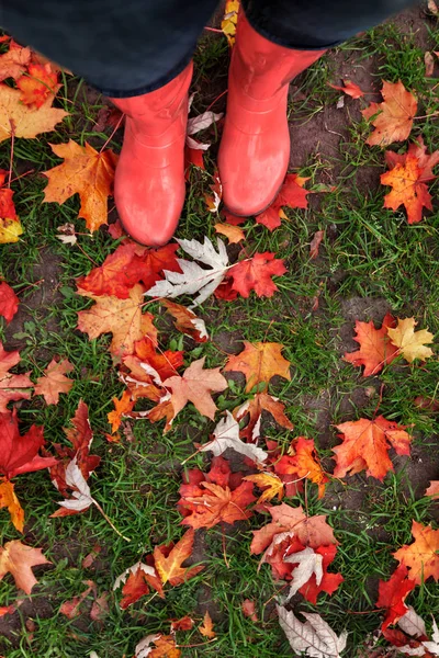 Benen Rubber Laarzen Een Achtergrond Van Rood Geel Oranje Herfst — Stockfoto