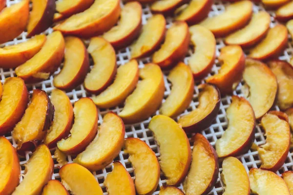 Peaches Dried Dehydrator Dryer Way Preserve Vitamins Vegetarian Meal Healthy — Stock Photo, Image