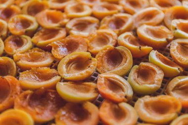 Kurutma makinesinde kurutulmuş kayısı. Vitaminleri korumanın bir yolu. Vejetaryen yemeği, sağlıklı ve yararlı..