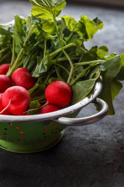 Karanlık bir arka plan üzerinde bir kevgir içinde yıkanmış taze sulu kırmızı turp.