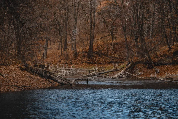 Paisaje otoñal en un parque con un lago y árboles secos caídos . —  Fotos de Stock