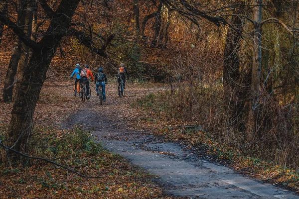 Осенний пейзаж в парке с желтыми деревьями на четырех треках езды велосипедиста — стоковое фото
