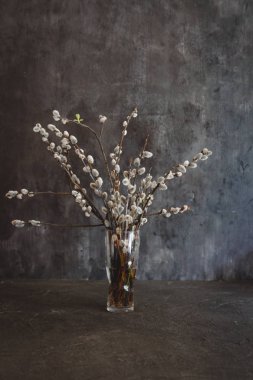 willow çiçek kediler karanlık bir vintage zemin üzerine vazo 