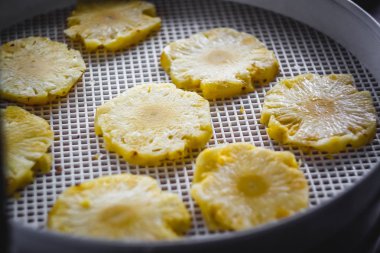 yuvarlak ananas bir kurutucu kurutma makinesi, yakın çekim dilimlenmiş. Sağa sola görüntülemek