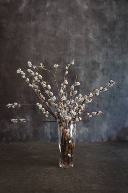 willow çiçek kediler karanlık bir vintage zemin üzerine vazo 