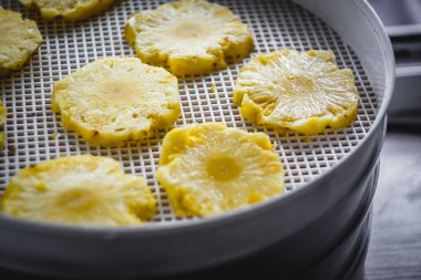 yuvarlak ananas bir kurutucu kurutma makinesi, yakın çekim dilimlenmiş. Sağa sola görüntülemek