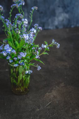 Unutma karanlık bir arka plan üzerinde bir Vazoda Çiçekler