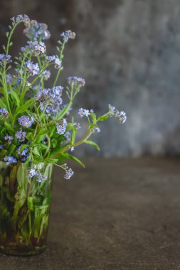 Unutma karanlık bir arka plan üzerinde bir Vazoda Çiçekler