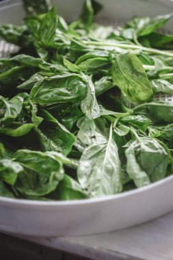 bir kılavuz dehydrator taze yeşil fesleğen yaprağı kurutma makinesi