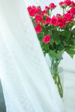 arka planını çok hassas küçük pembe güller