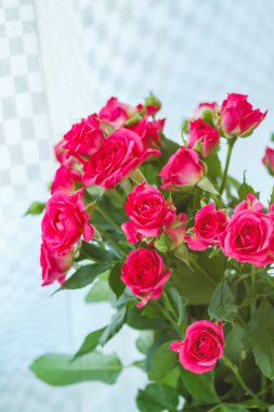 arka planını çok hassas küçük pembe güller