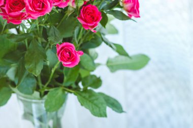 arka planını çok hassas küçük pembe güller