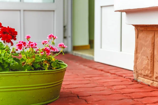 The decor outside the house, pink and red geraniums in a metal g