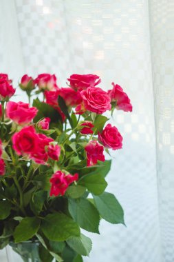 arka planını çok hassas küçük pembe güller