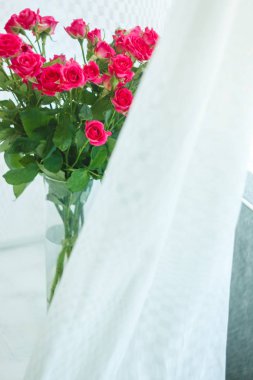 arka planını çok hassas küçük pembe güller