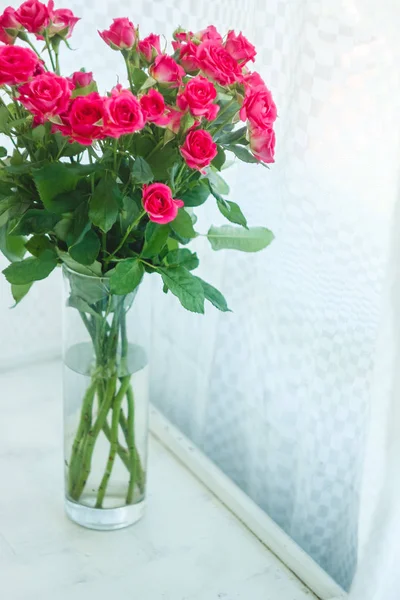 Fundo das muitas delicadas rosas rosa pouco — Fotografia de Stock