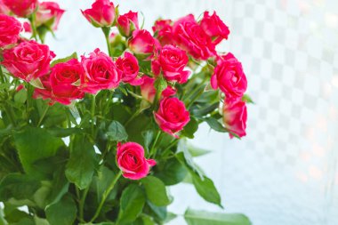 arka planını çok hassas küçük pembe güller