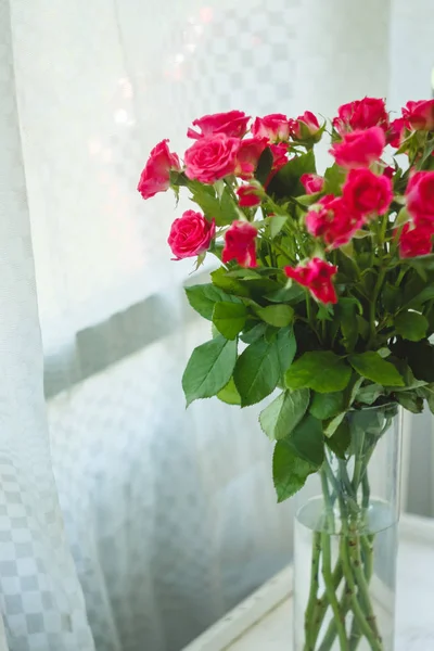 arka planını çok hassas küçük pembe güller