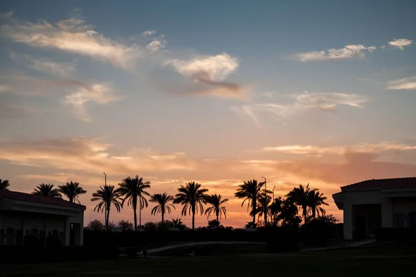 Paisaje con palmeras, puesta de sol, silueta. Egipto.Sharm El Sh —  Fotos de Stock