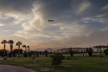 Palmiye ağaçları, gün batımı, siluet ile manzara. Mısır.Sharm El Sh