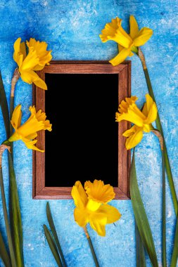 nergis ve tebeşir kurulu mavi parlak arka plan üzerinde. Üstte görüntü.