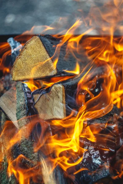 Brennendes Feuer im Grill mit Holzscheiten. Nahaufnahme. Waldkonzept — Stockfoto