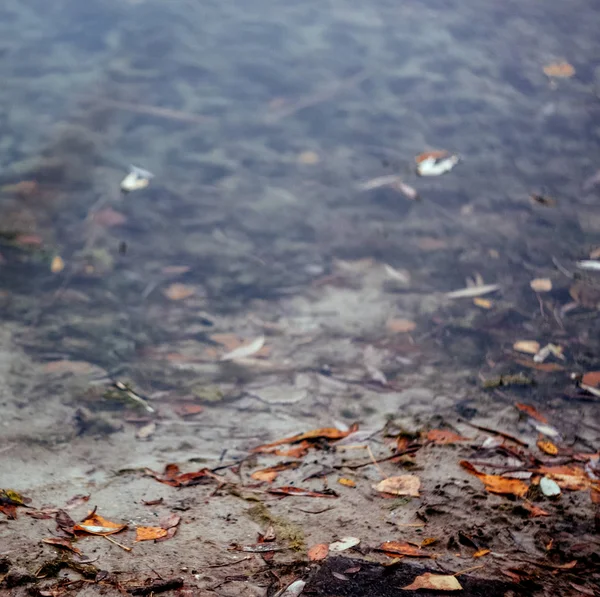 Paesaggio riflesso in un lago foresta autunno in stile retrò, unde — Foto Stock