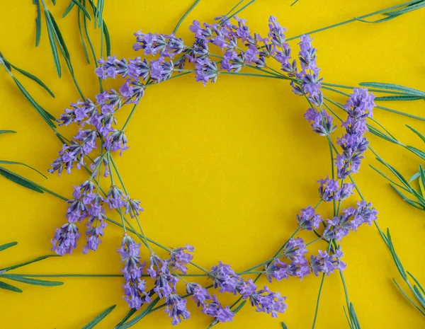 Marco redondo o cuadrado de un ramo de flores de lavanda fresca en — Foto de Stock