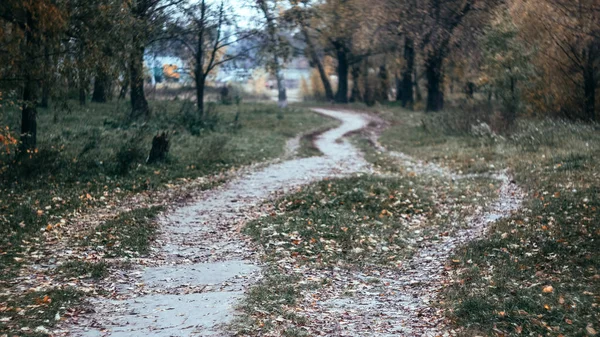 Jalan setapak tanjung di hutan kuning musim gugur. Gaya retro — Stok Foto