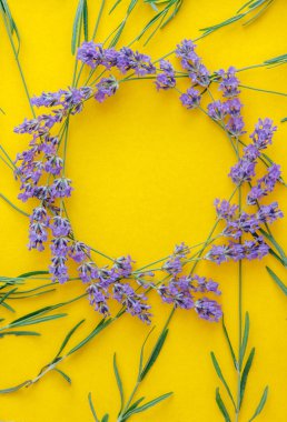parlak sarı arka planda taze lavanta çiçekleri bir buket yuvarlak veya kare kare, üst görünüm. Boşluk Kopyala. Düz yatma