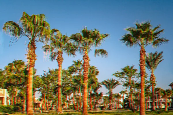エジプトグリッチ効果の熱帯リゾートにヤシの木と路地 — ストック写真