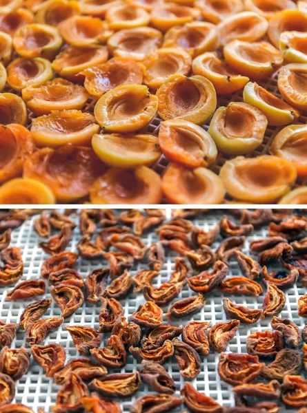 Apricot dried in the dryer-dehydrator. A way to preserve vitamins. Vegetarian meal, healthy and useful — Stock Photo, Image