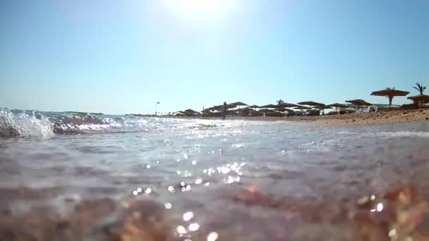 Giovane Donna Bruna Attraente Camicia Bianca Cammina Lungo Spiaggia Spiaggia — Video Stock