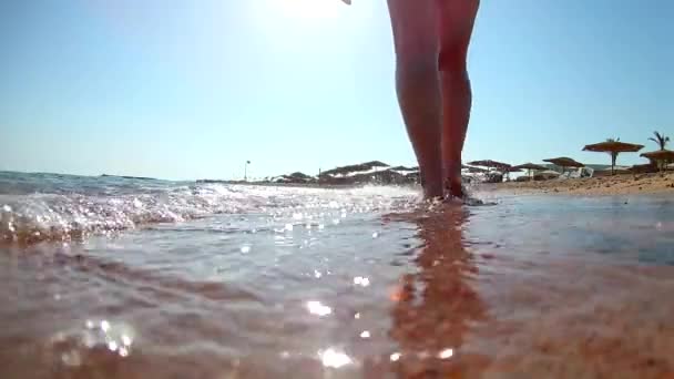 Молода Приваблива Брюнетка Білій Сорочці Йде Геть Прогулюється Вздовж Пляжу — стокове відео