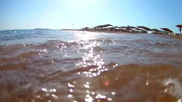 Ondas Luz Surfam Costa Arenosa Dia Ensolarado Claro Mar Vermelho — Vídeo de Stock