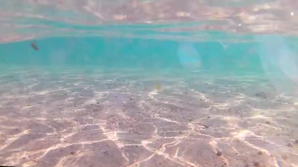 Lichtgolven Onderwater Buurt Van Het Zandstrand Een Heldere Zonnige Dag — Stockvideo