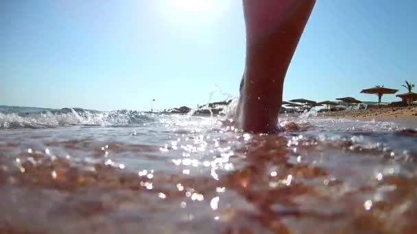 Młoda Atrakcyjna Brunetka Kobieta Białej Koszulce Odchodzi Spacery Wzdłuż Plaży — Wideo stockowe