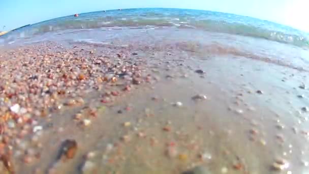 Fényhullámok Szörf Surf Homokos Strandon Nádtetős Napernyők Egy Tiszta Napsütéses — Stock videók