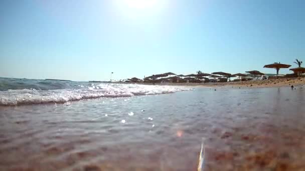 Ondas de luz surfar na praia de areia com guarda-sóis de praia de palha em um dia ensolarado claro, Mar Vermelho, vista de baixo, ângulo largo. Movimento lento Movimento padrão . — Vídeo de Stock