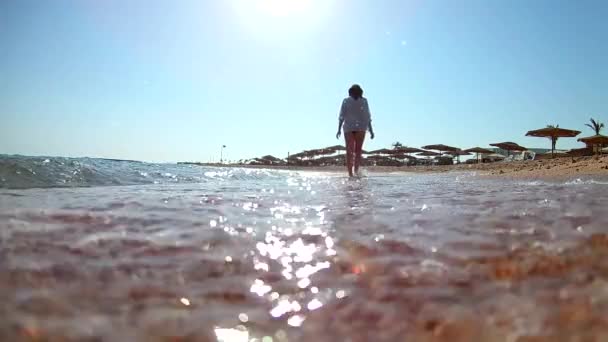 Mladá Atraktivní Brunetka Bílé Košili Odchází Chodí Pláži Písečnou Pláž — Stock video