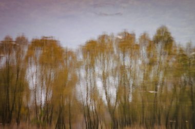 Peyzaj film altında, retro tarzında bir orman sonbahar Gölü yansıtılır