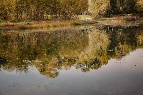 Paisaje reflejado en un lago de otoño de bosque en estilo retro, bajo película —  Fotos de Stock