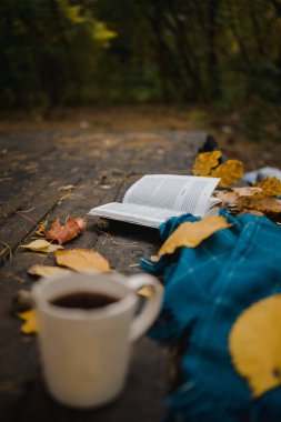Sonbahar parkındaki eski ahşap bir masanın üzerinde açık bir kitap, mavi bir ekose, ışıklı bir çelenk, bir fincan sarı yaprak ve sos konisi bulunur. Üst manzara, bulanık. Sonbahar ılık karanlık ruh hali, yumuşak odaklanma.