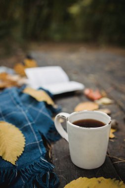 Sonbahar parkındaki eski ahşap bir masanın üzerinde açık bir kitap, mavi bir ekose, ışıklı bir çelenk, bir fincan sarı yaprak ve sos konisi bulunur. Üst manzara, bulanık. Sonbahar ılık karanlık ruh hali, yumuşak odaklanma.