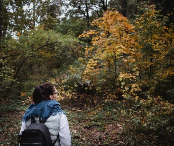 Femme de randonnée à la forêt d'automne. Randonneur debout dans les bois pendant la saison d'automne. Profitez de la randonnée dans la nature à la journée ensoleillée — Photo