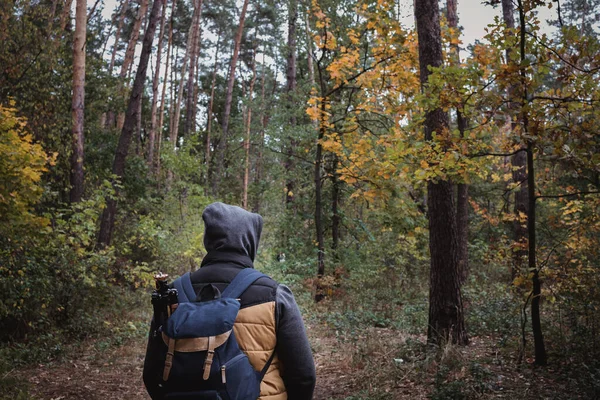 Un jeune homme avec un sac à dos dans le chapeau, voyageur, hipster debout dans les bois, randonnée, forêt, voyage. — Photo