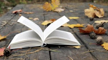 Eski ahşap bir kitap, düşmüş çam kozalakları, sonbahar sarı akçaağaç yaprakları ve meşe. Rüzgar yaprakları uçurur ve sayfaları hareket ettirir. Ağır çekim. Yumuşak, seçici odak.