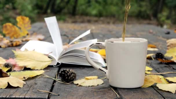 Sull'Antico legno si trova un libro, una tazza in cui si versano tè, foglie cadute e coni. Il vento soffia via le foglie e muove le pagine. Movimento ciclico lento. Focus morbido e selettivo — Video Stock