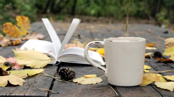 На старом деревянном лежит книга, чашка, в которую наливают чай, опавшие листья и шишки. Ветер сдувает листья и перемещает страницы. Медленное циклическое движение. Мягкий, избирательный фокус — стоковое видео